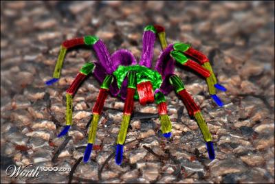 Cet animal est capable de faire la même chose que cette araignée factice, changer de couleur !