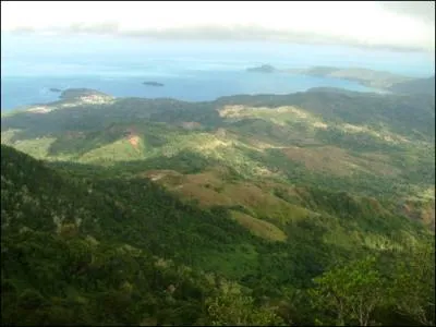 Le point culminant de Mayotte est le mont Benara, sur l'le de Grande-Terre. Quelle est son altitude ?
