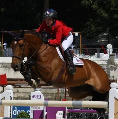 Quelle est cette race de cheval ?