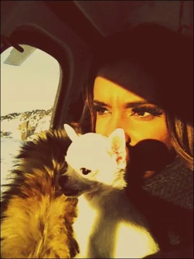 Comment s'appelle le nouveau petit compagnon de Shy'm ?