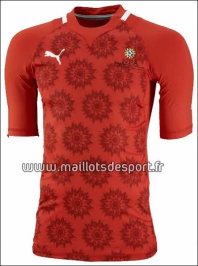 A quelle quipe de foot appartient ce maillot ?