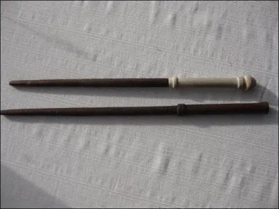 A qui appartiennent ces 2 baguettes dans les 2 premiers pisodes ?