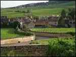 Sur la route des vins de Bourgogne, je me rends  Pommard ( 21 ) o les habitants se nomment ...