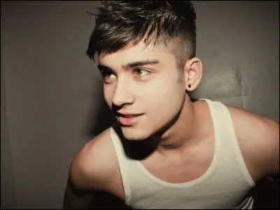De quoi Zayn a-t-il peur ?