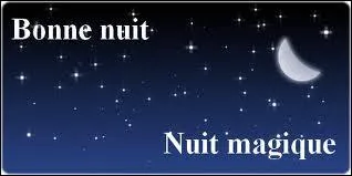 Qui a chanté ''NUIT magique'' ?
