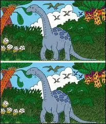 Est-ce qu'il y a des diffrences ?