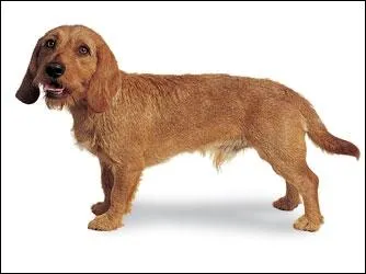 Pouvez-vous me reconnaître ?