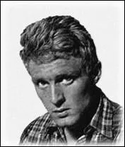 Son succs 'Aline' fut le slow de l't 1965 ... .