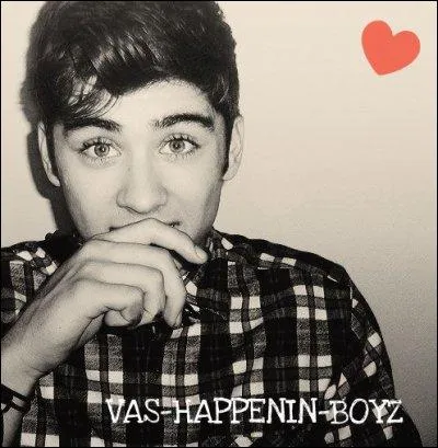 Quel est le prnom entier de Zayn ?