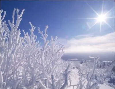 Combien peut-il faire en hiver ?