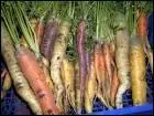 La carotte occupe une place importante dans le panier de lgumes des Franais. Laquelle ?