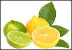 Le citron vert, aux armes plus prononcs que le jaune, contient plus de vitamines C.