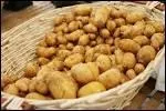 Quelle est la seule pomme de terre  bnficier d'une AOC ?