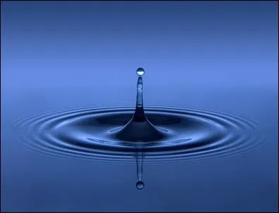 A consommer sans modration...