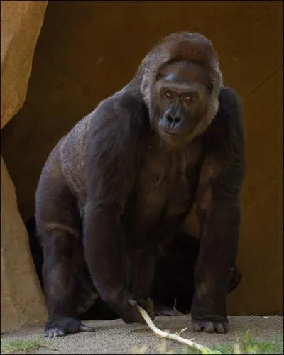 Mon personnage peut mme escalader une tour !