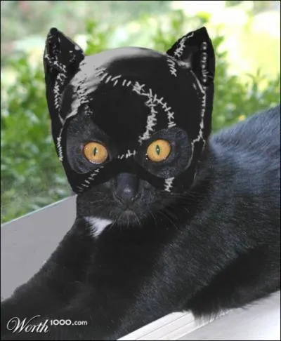 Mon personnage se faufile sur des toits pas forcment brlants !