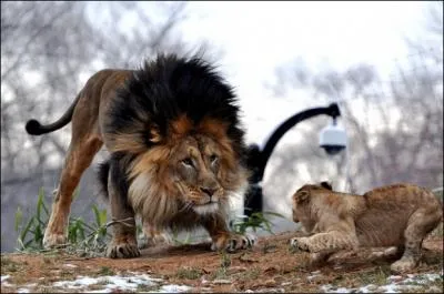 Mon personnage louchait vers Judy !