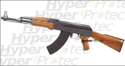 Comment s'appelle cette arme ?