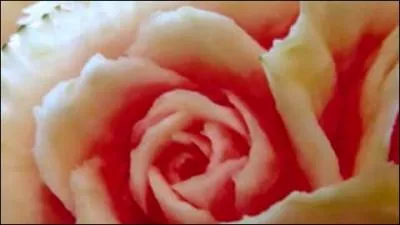 Dans quoi a-t-on grav cette magnifique fleur ?