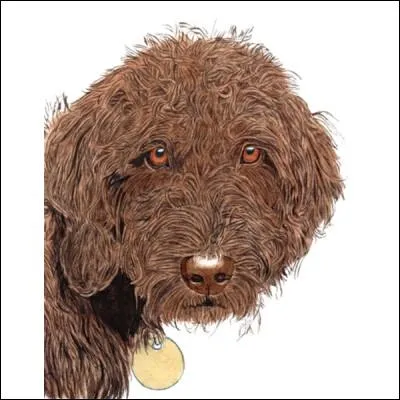 Ce magnifique chien a t sculpt avec quoi ?