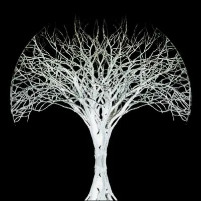 Celle-ci est faite en... ?