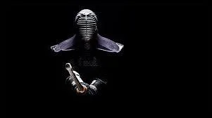 Quel est ce sport de combat ?