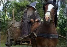 Le Seigneur des Anneaux est mondialement connu. Mais quel est le titre de celui-ci sorti fin 2001 ?