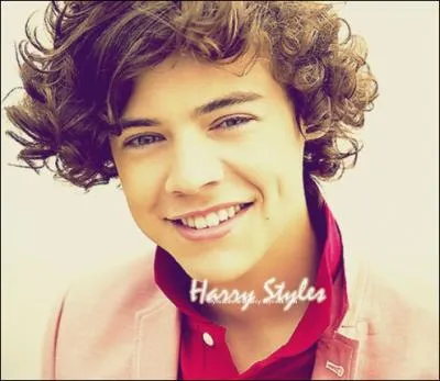 Sur quoi a auditionn Harry pour X Factor ?