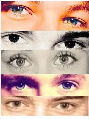 A qui sont les premiers yeux ?