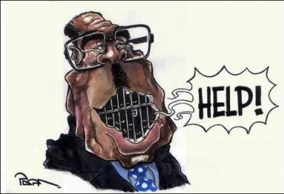 Il est le plus g des chefs d'tat d'Afrique en exercice... .