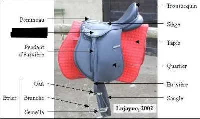 Quelle est la partie manquante de la selle ?