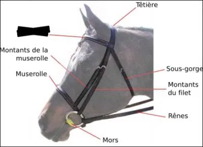 Quelle est la partie manquante du filet ?