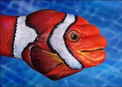 Elle peut s'�garer, mais �tre baladeuse !