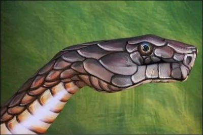 Si vous �tes arriv� jusqu'ici, c'est que vous n'avez pas fait ...