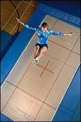 Le trampoline est-il une discipline olympique ?