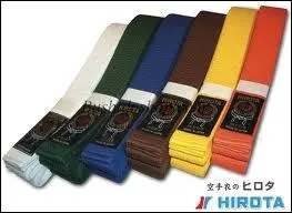 Pouvez-vous remettre dans l'ordre les diffrentes ceintures de karat ?