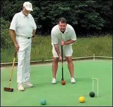 Quelle est cette discipline sportive ?