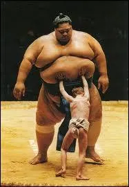 Quel est le grade le plus lev chez les sumos ?
