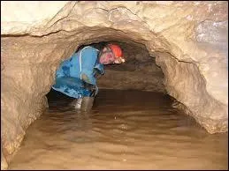 Quelle est cette discipline sportive ?