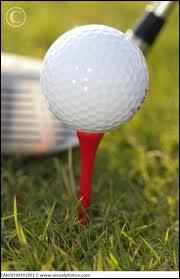 Comment s'appelle la pice rouge sous la balle de golf (photo) ?