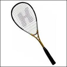 Quel sport peut-on pratiquer avec cette raquette ?