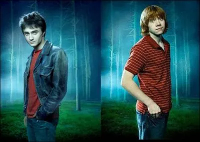 Comment s'appelle, les meilleurs amis d'Hermione ?