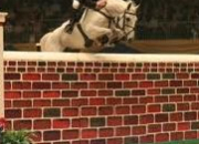 Quiz Types d'obstacles en équitation