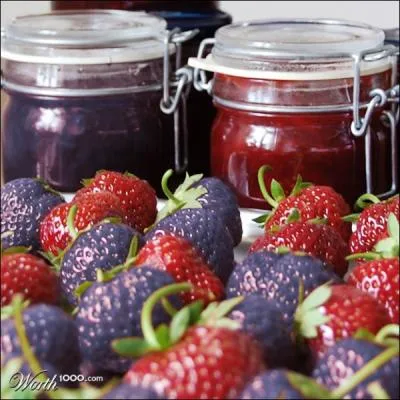 L'animal en question n'est pas d'extraction royale mais possde un sang bleu !