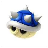 A quoi servent ces carapaces bleues ?