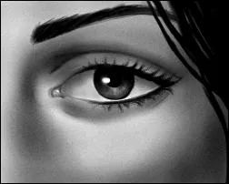 Lui aussi est synonyme d'une vue perante, passe dans l'imagerie populaire !