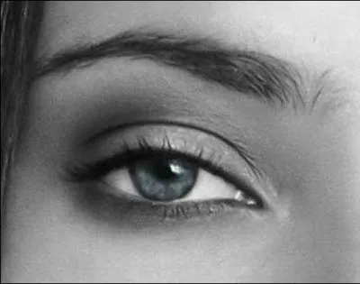 Son excellente vue a donn naissance  une expression populaire !