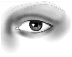 Il marche  la queue leu leu, c'est grce  sa vue qu'il repre sa proie !