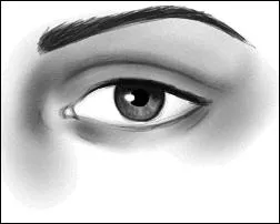 Lorsqu'il vous voit, il frappe l'eau de sa queue, il s'appelait le bivre !