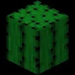 Comment s'appelle ce bloc ?